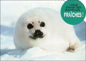 _CJbg|XgJ[h J[ʐ^uAUV̐Ԃv105×150mm Xւ͂bZ[WJ[h