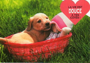 _CJbg|XgJ[h J[ʐ^uɓqƂl`v105×150mm Xւ͂bZ[WJ[h