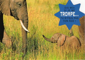 _CJbg|XgJ[h J[ʐ^u]E̐eqv105×150mm Xւ͂bZ[WJ[h