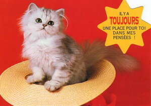 _CJbg|XgJ[h J[ʐ^uXqɓqLv105×150mm Xւ͂bZ[WJ[h