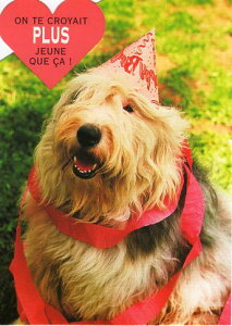 _CJbg|XgJ[h J[ʐ^up[eB[Ȍv105×150mm Xւ͂bZ[WJ[h