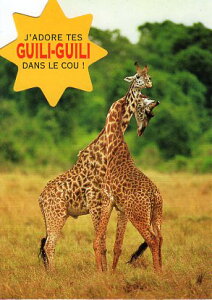 _CJbg|XgJ[h J[ʐ^utLv105×150mm Xւ͂bZ[WJ[h