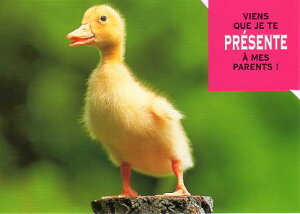 _CJbg|XgJ[h J[ʐ^uqiv105×150mm Xւ͂bZ[WJ[h