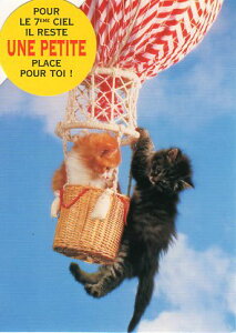 _CJbg|XgJ[h J[ʐ^uCɏ2C̎qLv105×150mm Xւ͂bZ[WJ[h