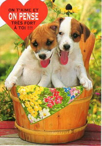 _CJbg|XgJ[h J[ʐ^uǂ2C̎qv105×150mm Xւ͂bZ[WJ[h