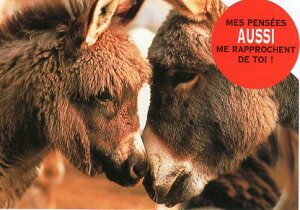 _CJbg|XgJ[h J[ʐ^u2̃ov105×150mm Xւ͂bZ[WJ[h