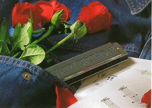 |XgJ[h J[ʐ^ n[jJƐԂo 105×148mm Xւ͂ bZ[WJ[h