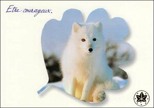 |XgJ[h J[ʐ^ zbLNMcl S}[N H 105×148mm Xւ͂ bZ[WJ[h