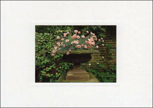 |XgJ[h J[ʐ^usÑJ[l[Vv105×150mm Xւ͂ bZ[WJ[h f{XH