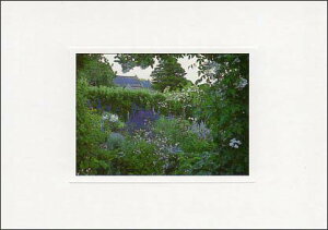 |XgJ[h J[ʐ^uRe[WK[fv105×150mm Xւ͂ bZ[WJ[h f{XH