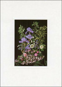 |XgJ[h J[ʐ^uACX̃AWgv105×150mm Xւ͂ bZ[WJ[h f{XH