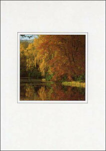 |XgJ[h J[ʐ^u̖؁v105×150mm Xւ͂ bZ[WJ[h f{XH