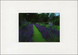 |XgJ[h J[ʐ^ủԔv105×150mm Xւ͂ bZ[WJ[h f{XH