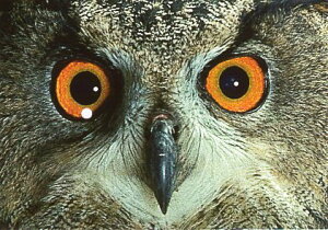 ʃ|XgJ[h J[ʐ^utNEv105×150mm Xւ͂ bZ[WJ[h