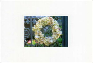 |XgJ[h J[ʐ^ ԗ 103×148mm Xւ͂ bZ[WJ[h