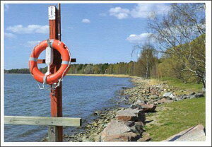 |XgJ[h J[ʐ^ ӂ̌iF 105×150mm Xւ͂ bZ[WJ[h