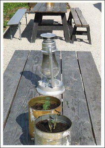 |XgJ[h J[ʐ^ e[uƐA 105×150mm Xւ͂ bZ[WJ[h