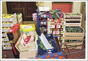 |XgJ[h J[ʐ^ ؂ʕ̔ 105×150mm Xւ͂ bZ[WJ[h