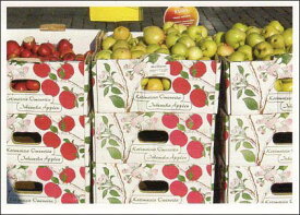 ポストカード カラー写真 りんごが入った箱 105×150mm 郵便はがき メッセージカード