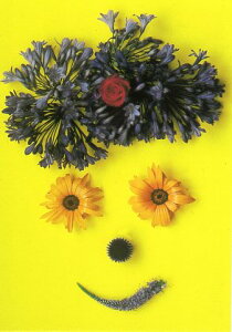 |XgJ[h J[ʐ^uԂ̊(WAj[)v105×150mm Xւ͂ bZ[WJ[h