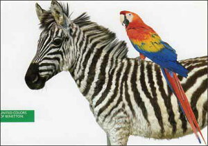 |XgJ[h J[ʐ^uV}E}ƃIEv105×150mm Xւ͂ bZ[WJ[h