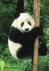 |XgJ[h J[ʐ^ p_ 105×150mm  Xւ͂ bZ[WJ[h