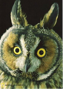 |XgJ[h J[ʐ^ tNE 105×150mm  Xւ͂ bZ[WJ[h