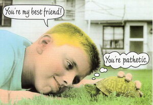 |XgJ[h J[ʐ^ l̗FB 105×148mm Xւ͂ bZ[WJ[h