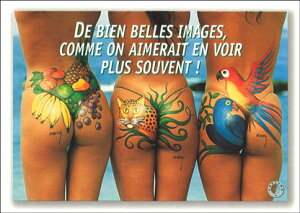 |XgJ[h J[ʐ^u{fB[yCgv105×150mm T}[J[h  C r[` bZ[WJ[h ĕ (FLG-070)