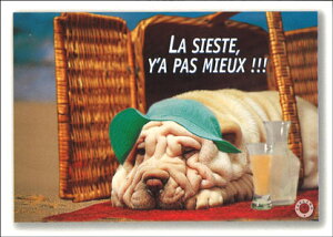 |XgJ[h J[ʐ^ur[`̌v105×150mm T}[J[h C bZ[WJ[h ĕ (FLG-087)