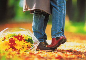 |XgJ[h J[ʐ^ ԑƗl 105×148mm Xւ͂ bZ[WJ[h