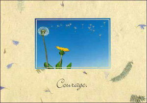 |XgJ[h J[ʐ^uۂۂƖȖсv105×148mm Xւ͂