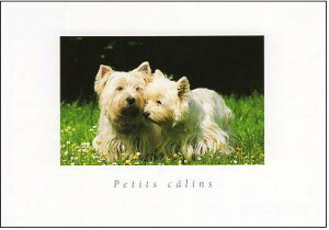 |XgJ[h J[ʐ^ 쌴2Č 105×150mm Xւ͂ G͂ bZ[WJ[h