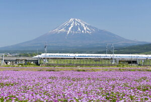 |XgJ[h J[ʐ^ {iV[YuVƕxmRv105×150mm όn  bZ[WJ[h Xւ͂(JS-007)