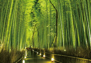 |XgJ[h J[ʐ^ {iV[Yus v105×150mm όn  bZ[WJ[h Xւ͂(JS-011)