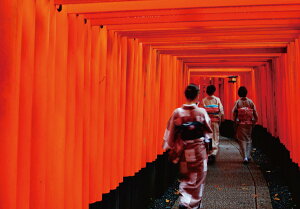 |XgJ[h J[ʐ^ {iV[Yuׁv105×150mm όn bZ[WJ[h Xւ͂(JS-021)