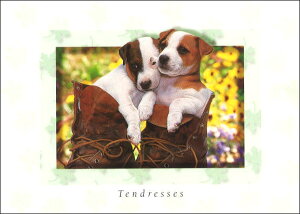 |XgJ[h J[ʐ^ Cɓ2C̎q 105×150mm Xւ͂ G͂ bZ[WJ[h