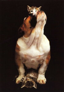 |XgJ[h J[ʐ^uƗV2C̎qLv103×148mm Xւ͂ bZ[WJ[h(RC2042)