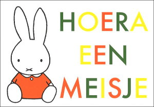 |XgJ[h ~btB[ fBbNEu[iuHOERA EEN MEISJE [A̎q! v105×150mm miffy G{ CXg CXg LN^[ ObY RNV  킢 Ԃ oYj