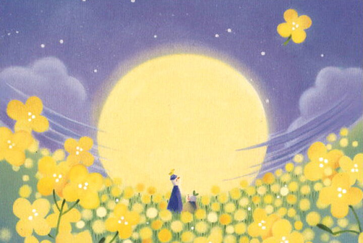 楽天市場 ポストカード イラスト 松井しのぶ お月さまの光の中で Ms001 ユージニア 楽天市場店