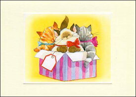 ポストカード イラスト ハニーベア「箱に入ったネコちゃん」105×148mm 郵便はがき メッセージカード