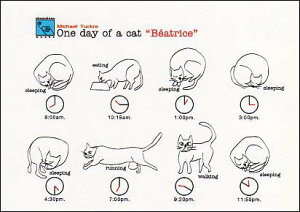 |XgJ[h CXg MfUCuL̃rAgẌv105×150mm Xւ͂ bZ[WJ[h(MP47)