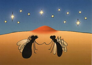 |XgJ[h CXg tBh̉V[YuقI}eBbN˂v105×150mm Xւ͂ bZ[WJ[h