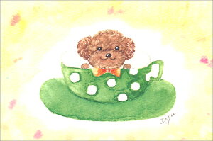 |XgJ[h CXg marron125uR[q[Jbv񂿂v100×150mm  ʉ  킢(IOK-002)