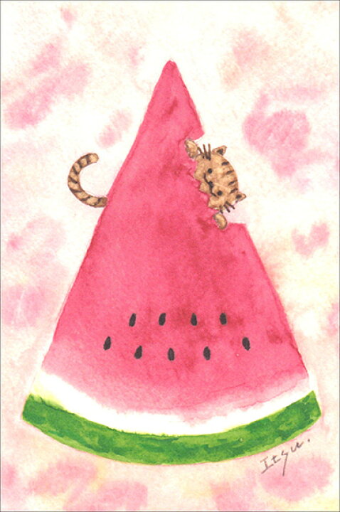 楽天市場 ポストカード イラスト Marron125 スイカを食べる猫 100 150mm 作家 水彩画 夏の果物 かわいい Iok 004 ユージニア 楽天市場店