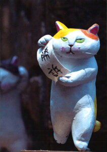 |XgJ[h J[ʐ^  LSyƁuiv105×150mm Xւ͂ CXg bZ[WJ[h(RT-009)