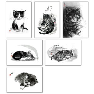 |XgJ[h6Zbg l LnG WHslLp 105×150mm a Xւ͂(HWP-SET7)