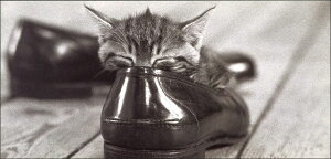 O|XgJ[h mNʐ^uCŐQqLv210×100mm  bZ[WJ[h Be[W re[W N㕨(BW9939400016)