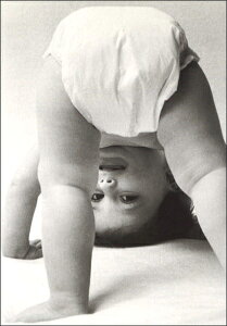 |XgJ[h mNʐ^uԂv105×150mm bZ[WJ[h re[W Be[W N㕨(HZN6723)