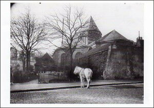 |XgJ[h mNʐ^uTE_[v105×150mm bZ[WJ[h Xւ͂ re[W Be[W N㕨